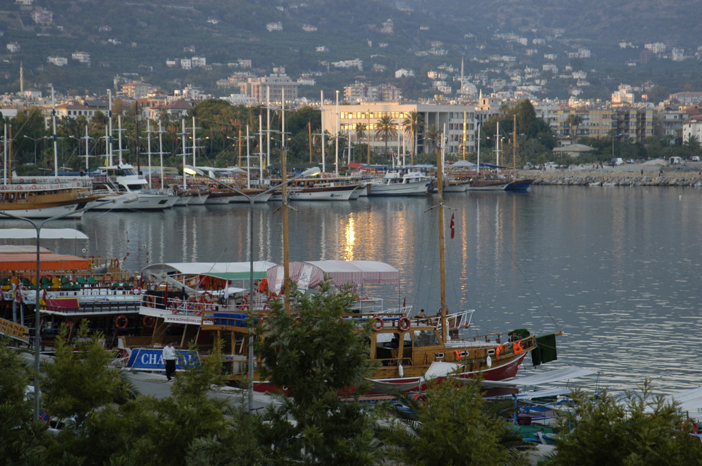 dsc_0040.jpg