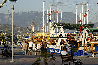 dsc_0035.jpg