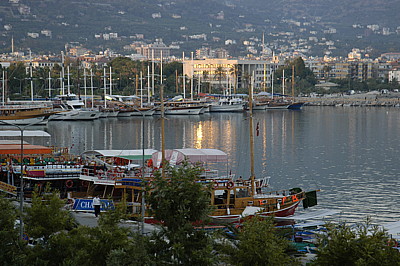 dsc_0040.jpg