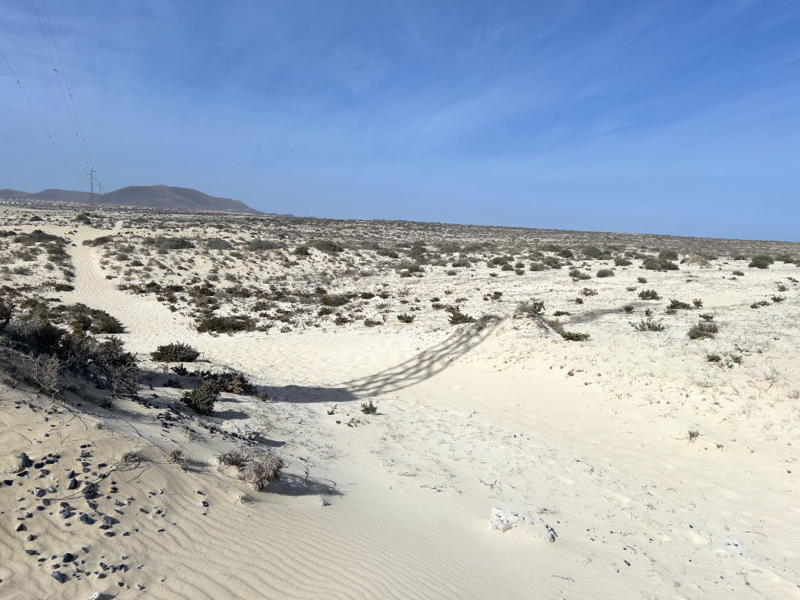 dsc_0734_2.jpg