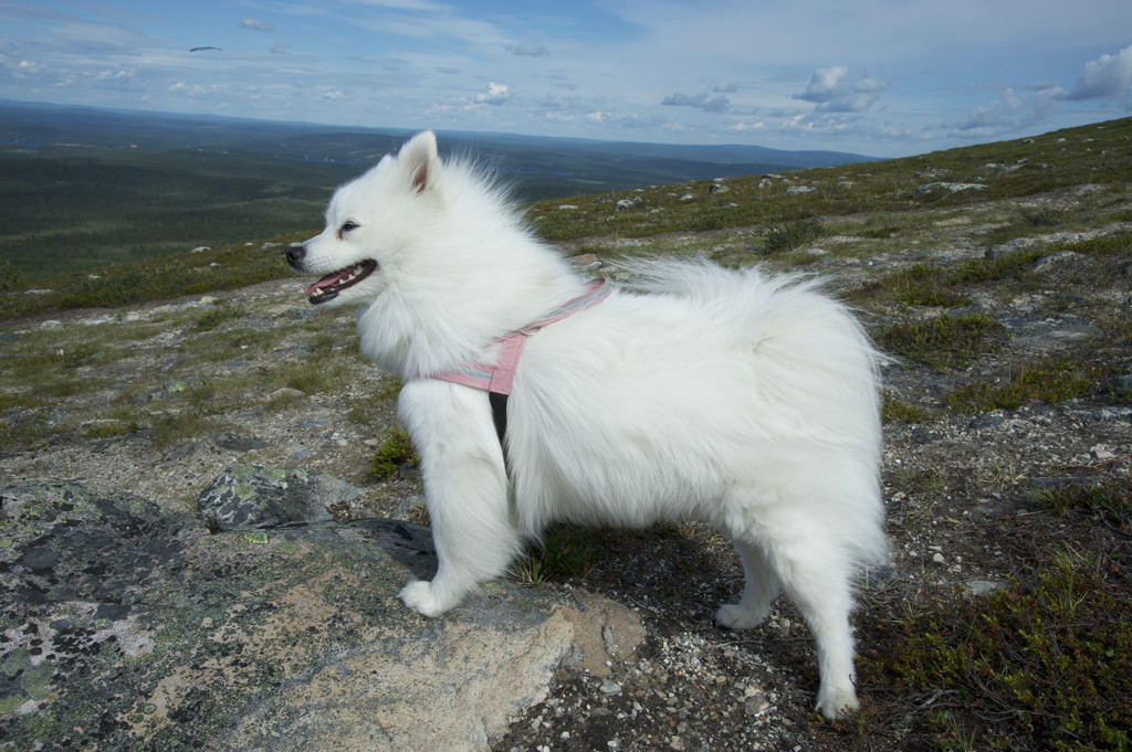 dsc_7595.jpg